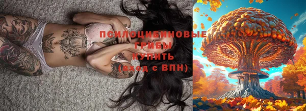 герыч Алексеевка